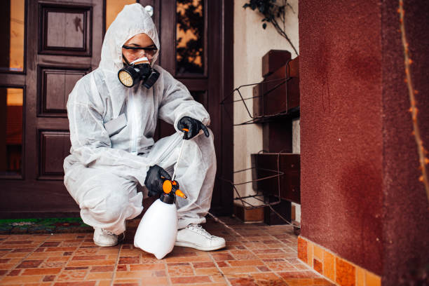 Reliable Ant Control contractor in Pecos, TX by Nex Pest Control